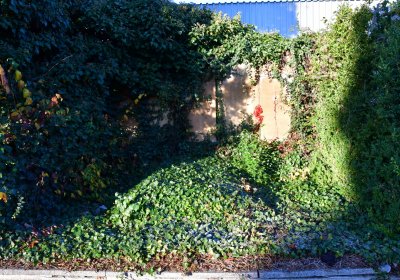 Žatec, Omnium, 2020