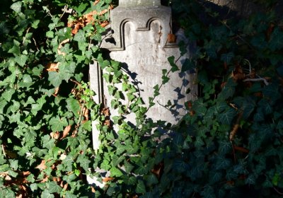 Žatec, Omnium, 2020