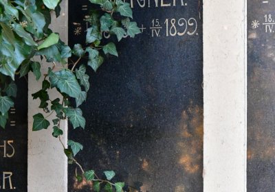 Žatec, Omnium, 2020