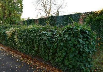 Žatec, Omnium, 2020