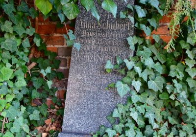 Žatec, Omnium, 2020