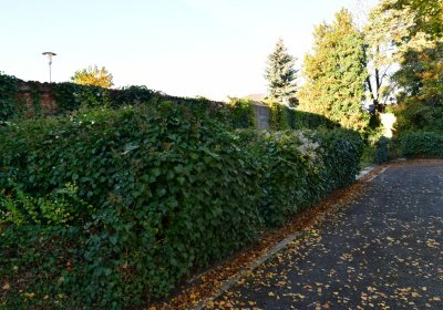 Žatec, Omnium, 2020