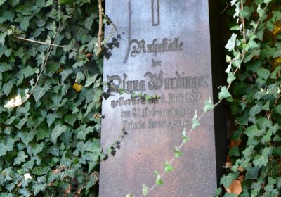 Žatec, Omnium, 2020