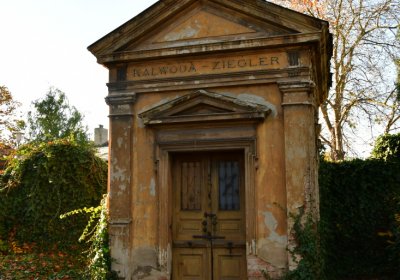 Žatec, Omnium, 2020