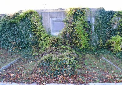 Žatec, Omnium, 2020