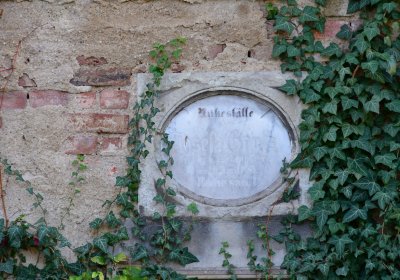 Žatec, Omnium, 2020