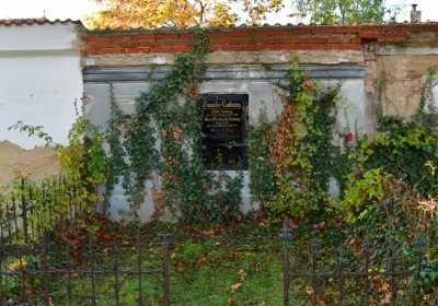 Žatec, Omnium, 2020