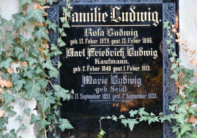 Žatec, Omnium, 2020