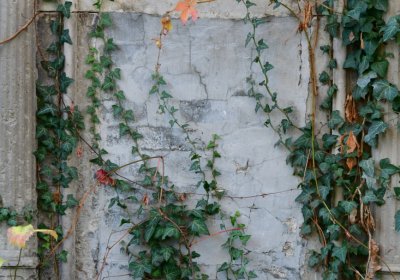 Žatec, Omnium, 2020