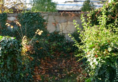 Žatec, Omnium, 2020