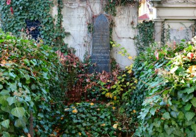 Žatec, Omnium, 2020