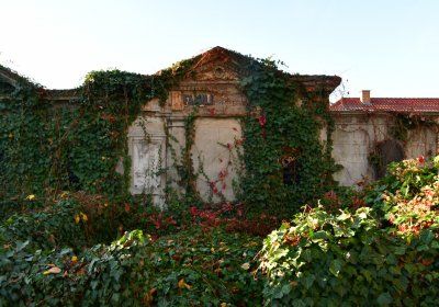 Žatec, Omnium, 2020