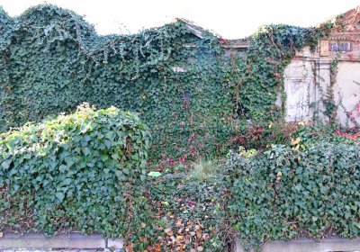 Žatec, Omnium, 2020