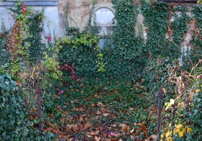 Žatec, Omnium, 2020