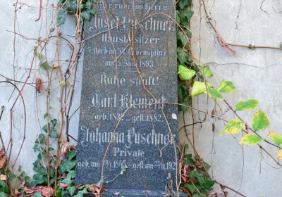 Žatec, Omnium, 2020