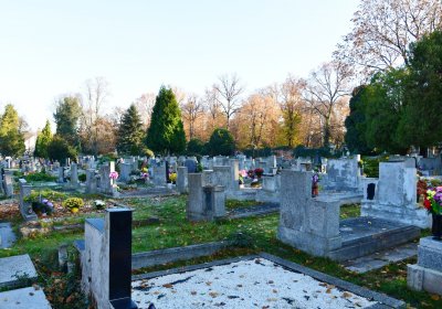 Žatec, Omnium, 2020