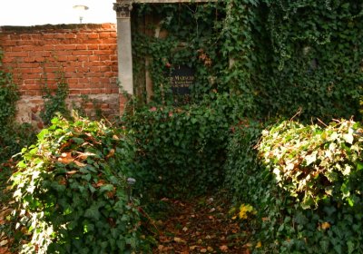 Žatec, Omnium, 2020