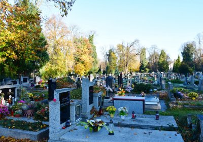 Žatec, Omnium, 2020