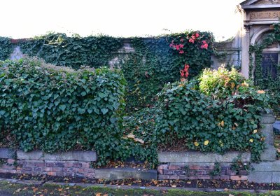 Žatec, Omnium, 2020