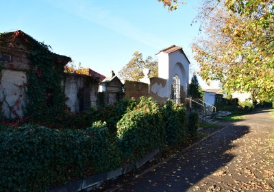 Žatec, Omnium, 2020