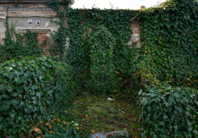 Žatec, Omnium, 2020