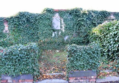 Žatec, Omnium, 2020