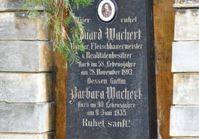 Žatec, Omnium, 2020