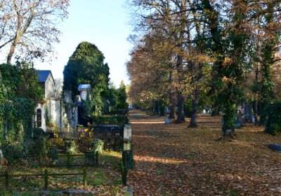 Žatec, Omnium, 2020