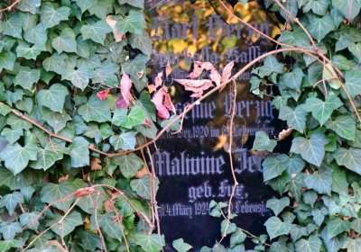 Žatec, Omnium, 2020