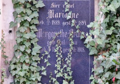 Žatec, Omnium, 2020