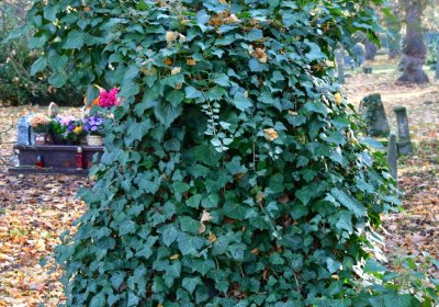 Žatec, Omnium, 2020