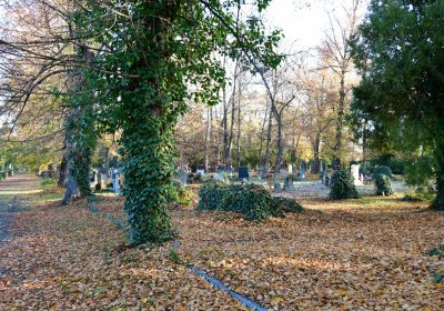 Žatec, Omnium, 2020