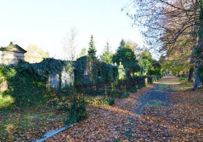 Žatec, Omnium, 2020