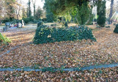 Žatec, Omnium, 2020