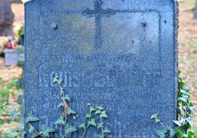 Žatec, Omnium, 2020