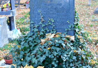 Žatec, Omnium, 2020