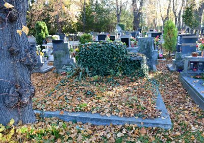 Žatec, Omnium, 2020