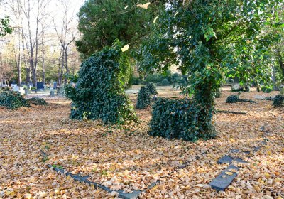 Žatec, Omnium, 2020