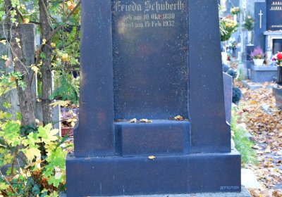 Žatec, Omnium, 2020