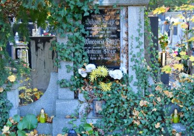 Žatec, Omnium, 2020