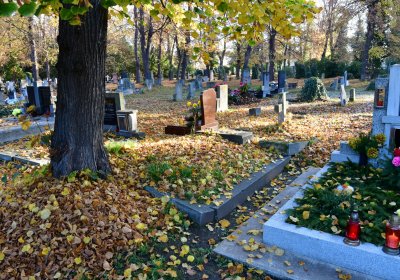 Žatec, Omnium, 2020