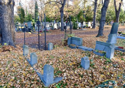 Žatec, Omnium, 2020