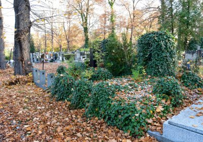 Žatec městský, Omnium, 2020