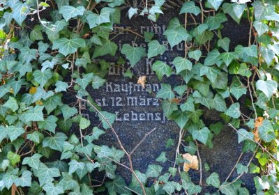 Žatec městský, Omnium, 2020