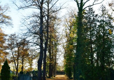 Žatec městský, Omnium, 2020