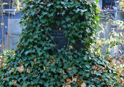 Žatec městský, Omnium, 2020