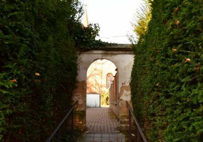 Žatec městský, Omnium, 2020