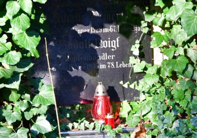 Žatec městský, Omnium, 2020