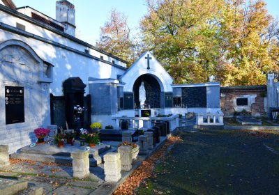 Žatec městský, Omnium, 2020