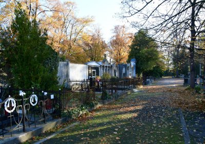 Žatec městský, Omnium, 2020